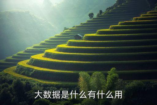 大數據是什么有什么用