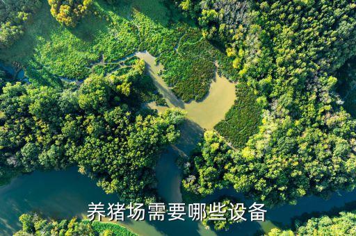 怎樣做自動化豬場設備,自動化養(yǎng)豬設備優(yōu)勢多?一文看懂