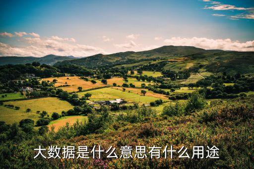 大數據是什么意思有什么用途