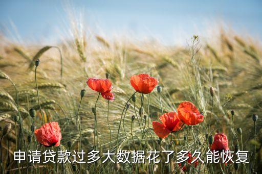 申請貸款過多大數(shù)據(jù)花了多久能恢復