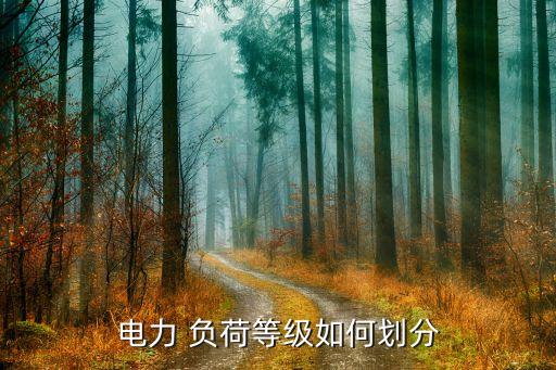 一級負荷