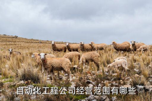 廣西自動(dòng)化系統(tǒng)成套設(shè)備,非標(biāo)自動(dòng)化設(shè)備有何不同?