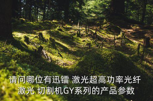 800w銅板激光切割自動化設備