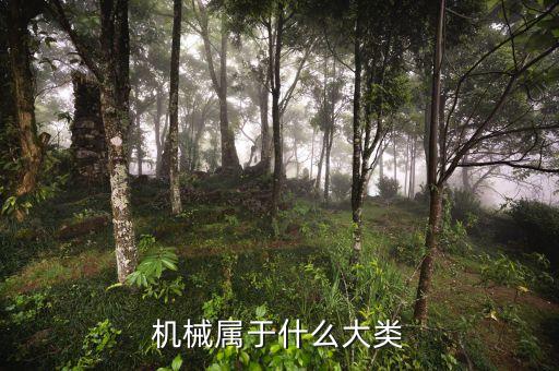 機械屬于什么大類