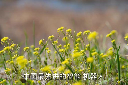 中國(guó)最先進(jìn)的智能 機(jī)器人
