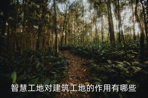 工地自動化設(shè)備運行視頻,如何安裝和調(diào)試自動化設(shè)備?