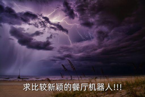 求比較新穎的餐廳機(jī)器人!!!