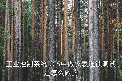 嘉興自動化電氣dcs系統(tǒng),關于dcs你必須知道的5件事!