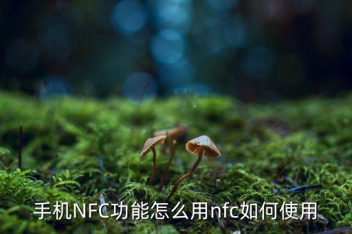nfc 手機(jī)記錄數(shù)據(jù),手機(jī)nfc如何使用?