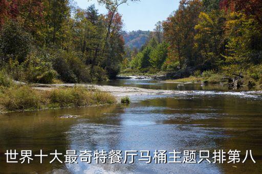 世界十大最奇特餐廳馬桶主題只排第八