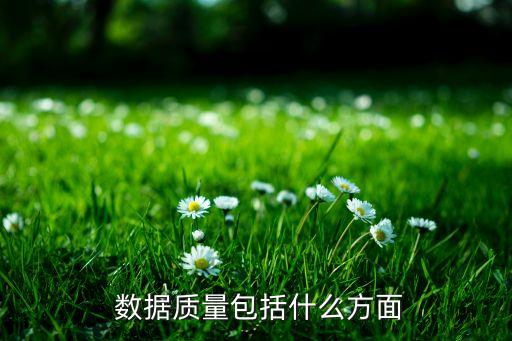  數(shù)據(jù)質(zhì)量包括什么方面