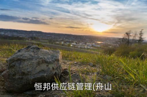 舟山自動化設備生產廠,中國生產自動化設備的公司有哪些?