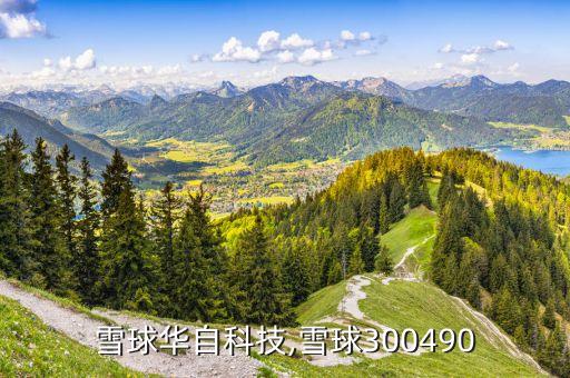 軟包圓柱電池自動化設(shè)備,新能源行業(yè)龍頭股名單出爐