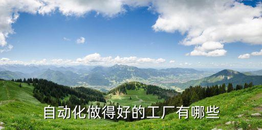 自動(dòng)化哪家正規(guī)公司最好,自動(dòng)化公司做得好的工廠有哪些?