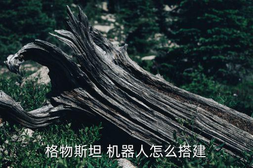 機器人主板破解,掃地機器人主板壞了