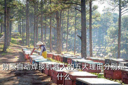 購買自動(dòng)焊接機(jī)器人的五大理由分別是什么