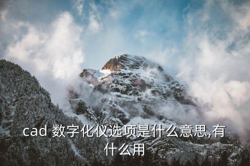 cad 數(shù)字化儀選項是什么意思,有什么用