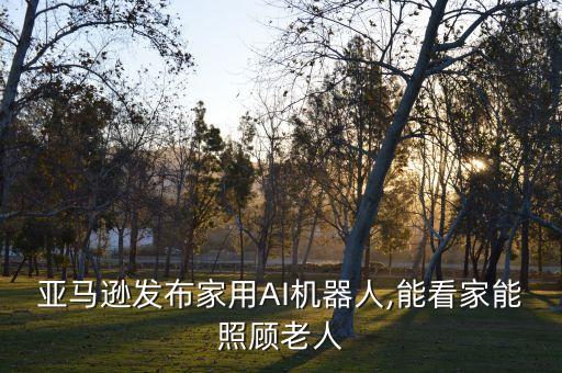亞馬遜發(fā)布家用AI機(jī)器人,能看家能照顧老人