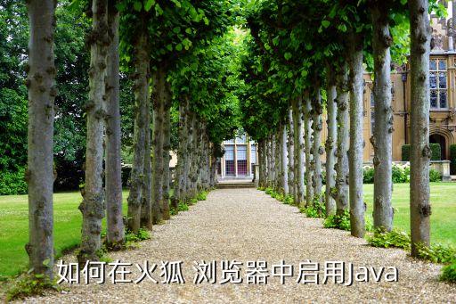 全球瀏覽器統(tǒng)計數(shù)據(jù),全球自然災(zāi)害統(tǒng)計數(shù)據(jù)