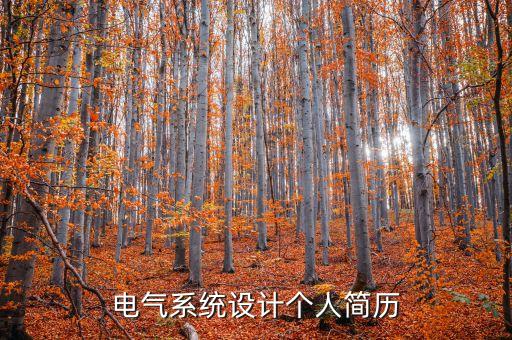 電氣系統(tǒng)設(shè)計(jì)個(gè)人簡(jiǎn)歷