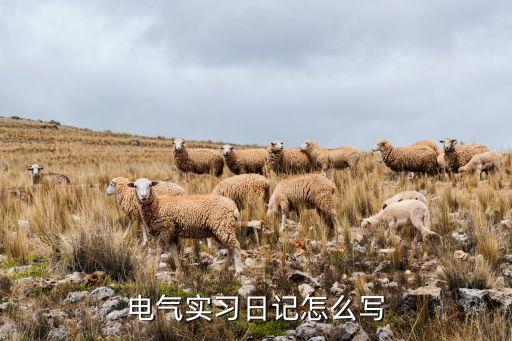 電氣實(shí)習(xí)日記怎么寫