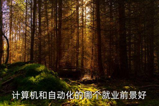 數(shù)據(jù)庫自動(dòng)化專業(yè)就業(yè),電氣自動(dòng)化專業(yè)與計(jì)算機(jī)專業(yè)優(yōu)勢互補(bǔ)