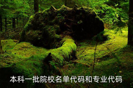 本科一批院校名單代碼和專(zhuān)業(yè)代碼