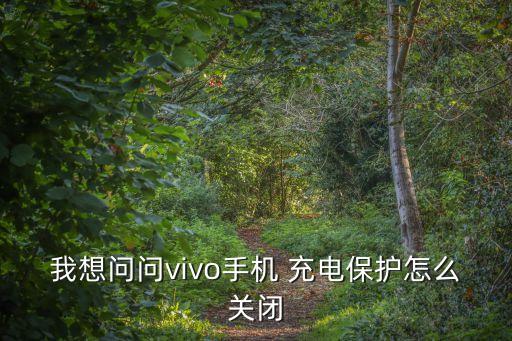 我想問問vivo手機 充電保護怎么關閉