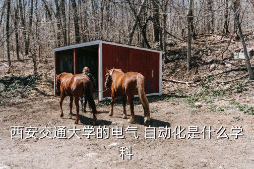 西安交通大學(xué)的電氣 自動(dòng)化是什么學(xué)科