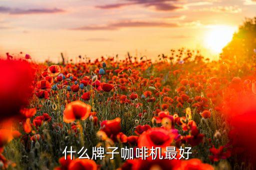什么牌子咖啡機最好