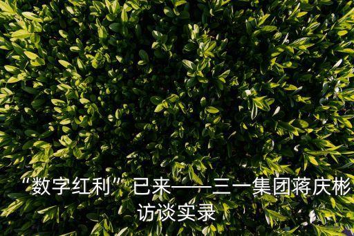 “數字紅利”已來——三一集團蔣慶彬訪談實錄