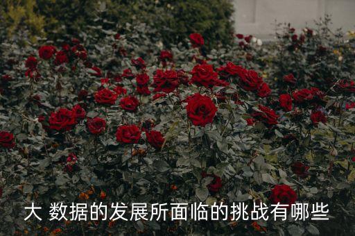 2017 大數(shù)據(jù)應(yīng)用,中國2017新生兒數(shù)據(jù)