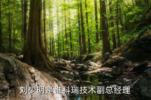 劉少明是誰(shuí)科瑞技術(shù)副總經(jīng)理