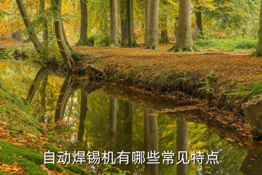 江蘇優(yōu)質(zhì)焊錫機(jī)自動(dòng)化設(shè)備,自動(dòng)焊錫機(jī)有哪些常見特點(diǎn)?