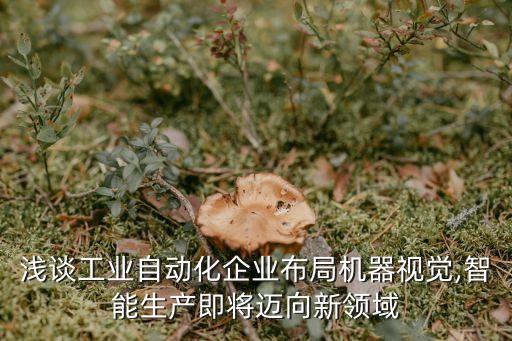 淺談工業(yè)自動化企業(yè)布局機(jī)器視覺,智能生產(chǎn)即將邁向新領(lǐng)域
