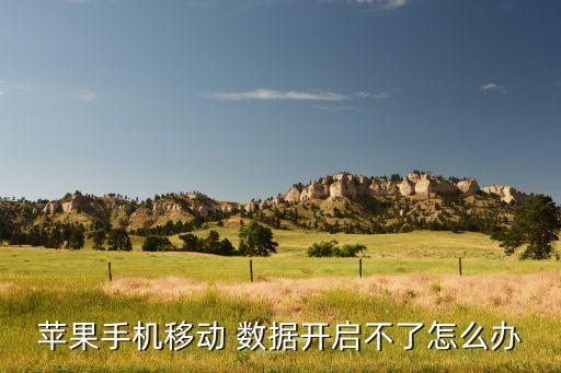 蘋果手機(jī)移動(dòng) 數(shù)據(jù)開(kāi)啟不了怎么辦