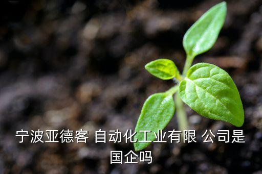 寧波亞德客 自動化工業(yè)有限 公司是國企嗎