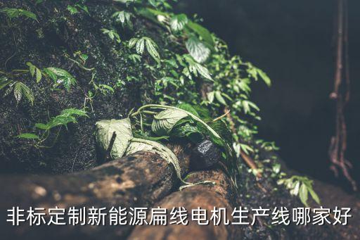 非標(biāo)定制新能源扁線電機(jī)生產(chǎn)線哪家好