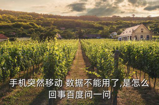 手機(jī)突然移動(dòng) 數(shù)據(jù)不能用了,是怎么回事百度問(wèn)一問(wèn)