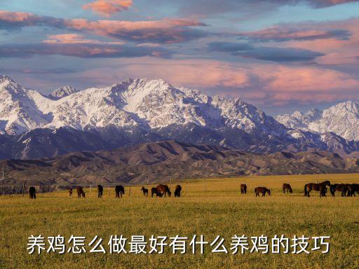 大型養(yǎng)殖肉雞自動(dòng)化設(shè)備,肉雞養(yǎng)殖設(shè)備哪家質(zhì)量好