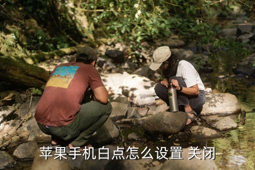 蘋果手機(jī)白點(diǎn)怎么設(shè)置 關(guān)閉