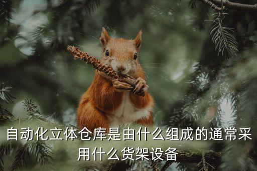自動化倉儲設(shè)備有哪些,倉儲物流設(shè)備有哪些?