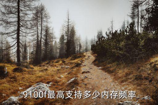  9100f最高支持多少內(nèi)存頻率
