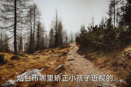 煙臺市哪里矯正小孩子近視的