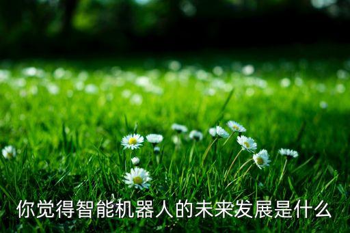 你覺(jué)得智能機(jī)器人的未來(lái)發(fā)展是什么