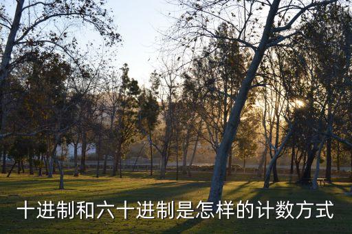 十進制和六十進制是怎樣的計數(shù)方式