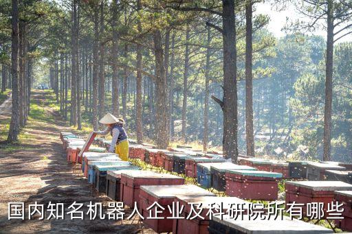 國內知名機器人企業(yè)及科研院所有哪些