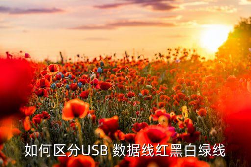 數(shù)據(jù)線 白銅芯