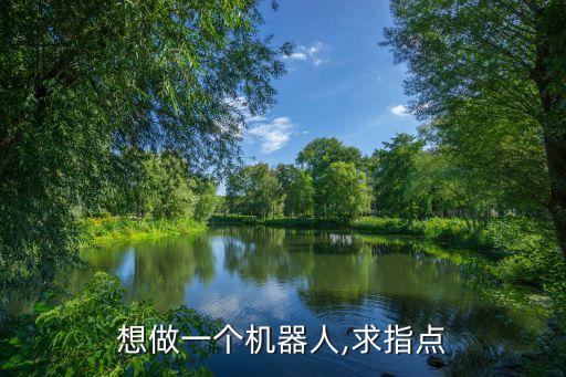 做機(jī)器人.,機(jī)器美女一鳴驚人關(guān)注機(jī)器人問題