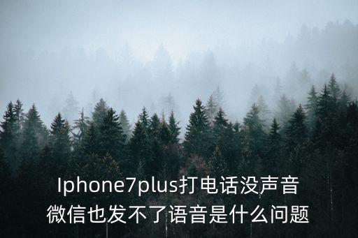 蘋(píng)果7語(yǔ)音與數(shù)據(jù)庫(kù),蘋(píng)果7plus發(fā)聲音怎么辦?